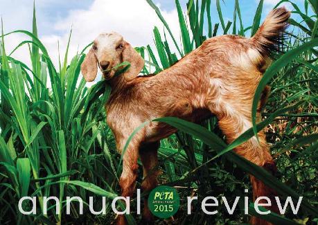 ANNUAL REVIEW 2015_ANIMALRAHAT_FIN72_WEB