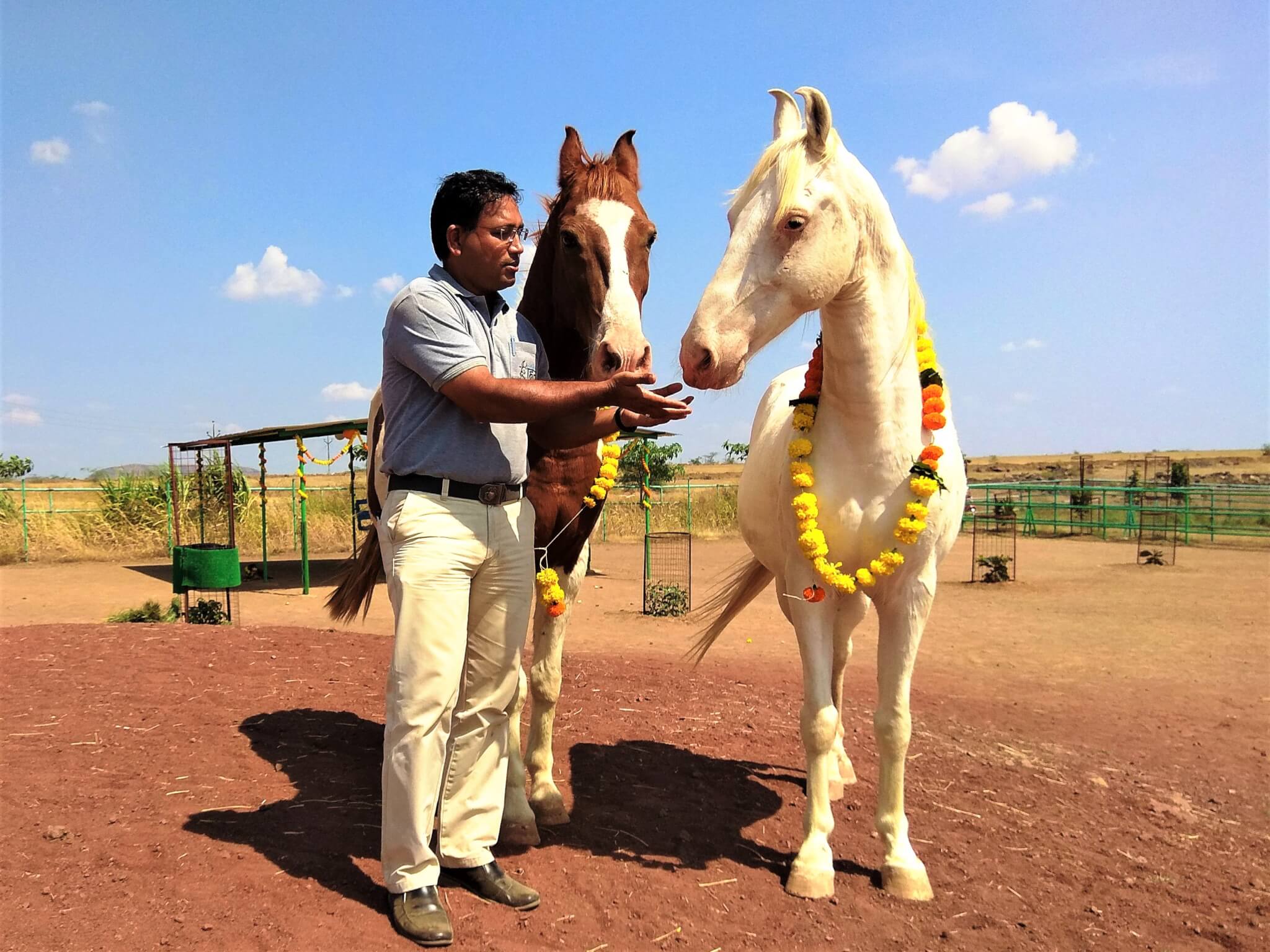 Dr. Naresh hand-feeds treats to resident horses.