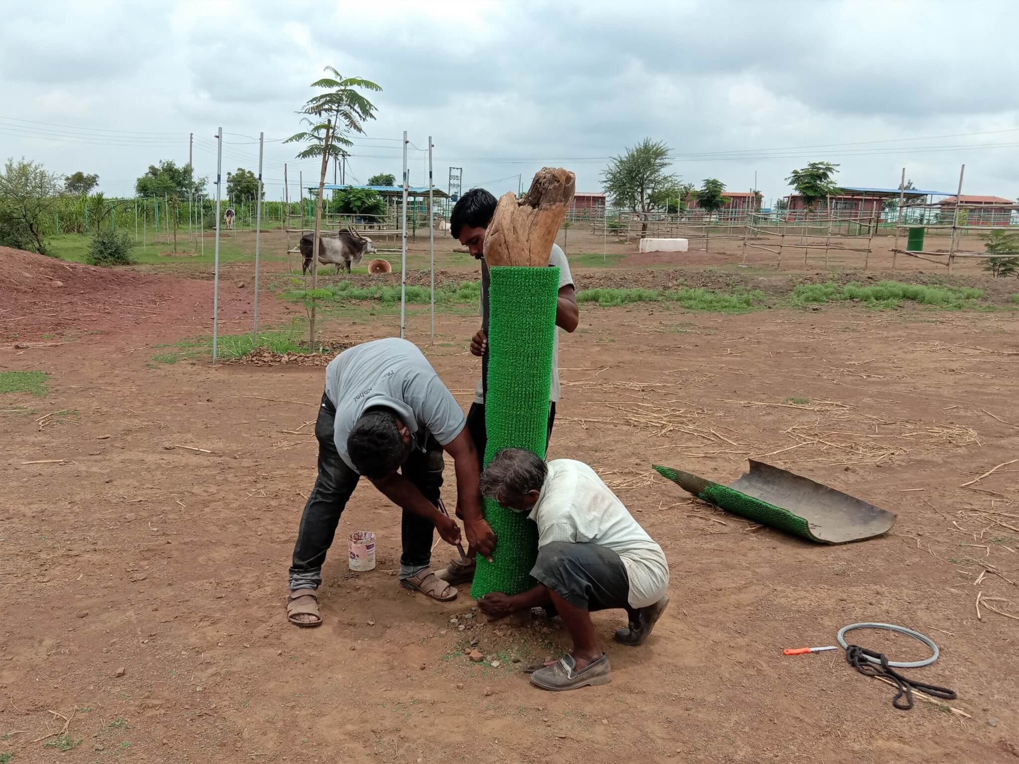 Staff replace the grooming mat on one of the sanctuary's self-grooming stations.