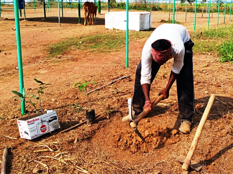 A staff member works in the garden.