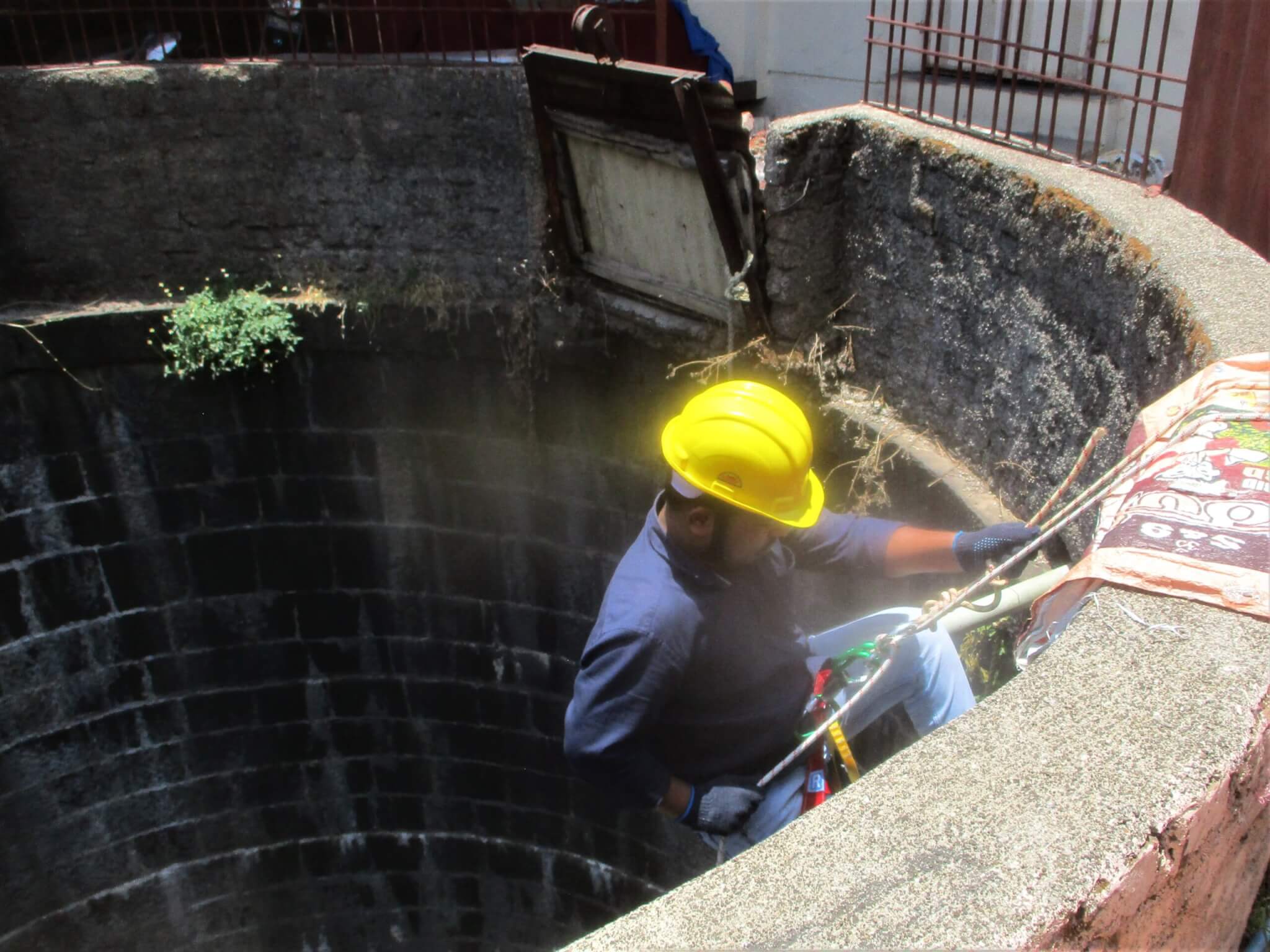 An Animal Rahat veterinarian scales down into the well to retrieve the terrified cat.