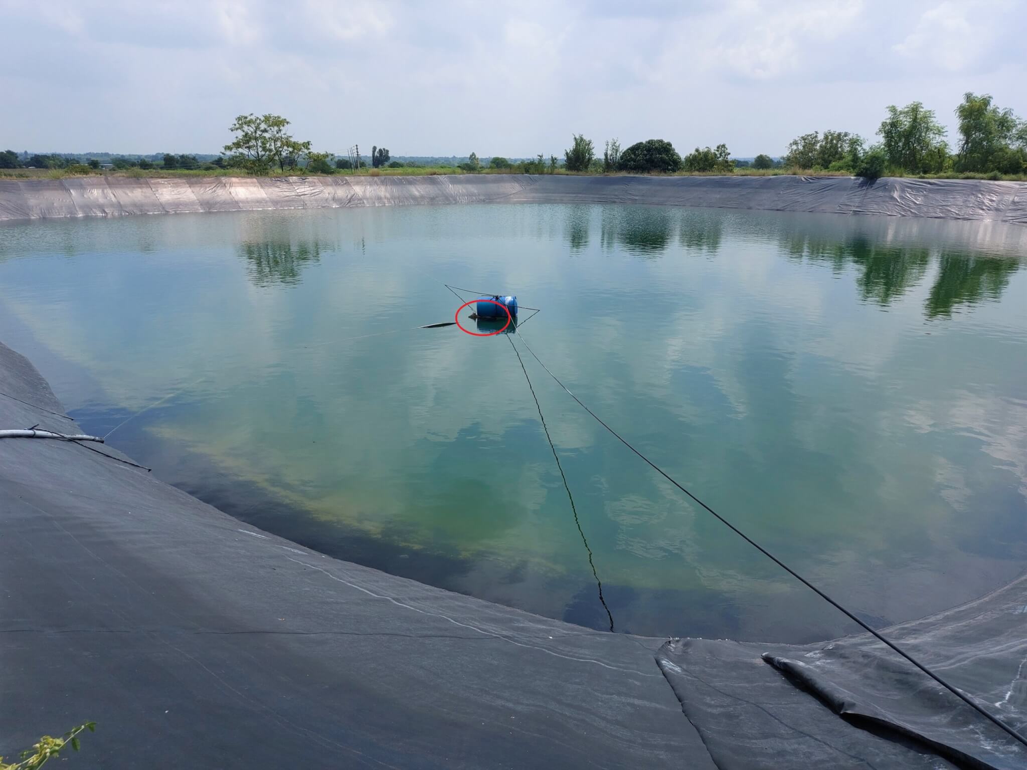 The steep sides of the deep reservoir were covered with a plastic sheath, making it impossible for the jackal to climb up the slick walls to safety.