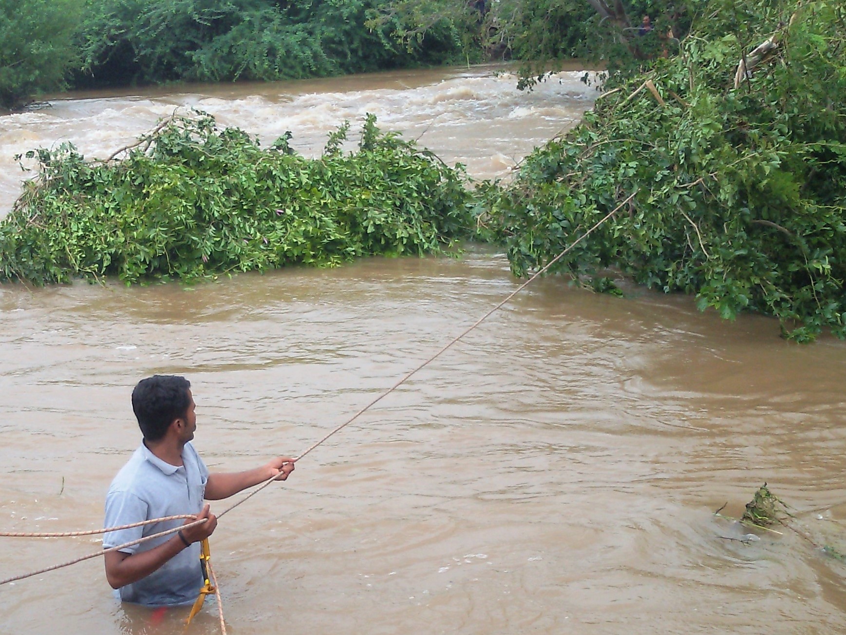 An Animal Rahat rescuer carefully crosses the river of floodwater.