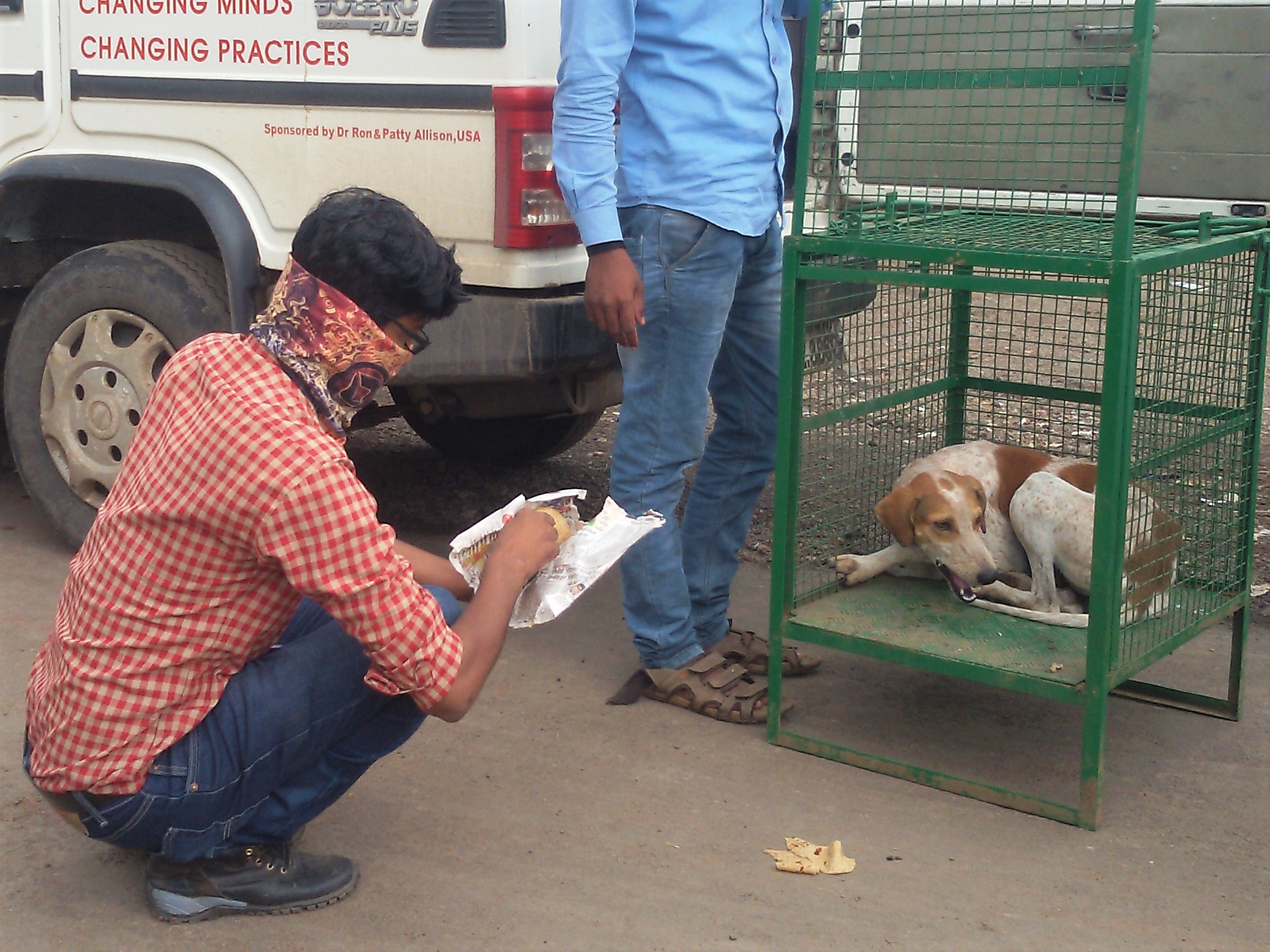 The dog sits in his transport crate while he eats food offered by his new guardian.