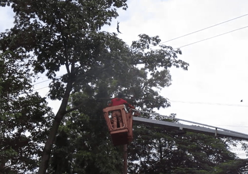 An Animal Rahat rescue worker uses a crane to reach the weary kite.