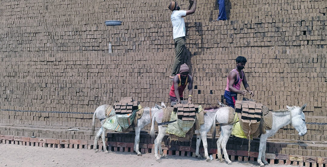 This image shows donkeys laden with bricks at a brick kiln in India.