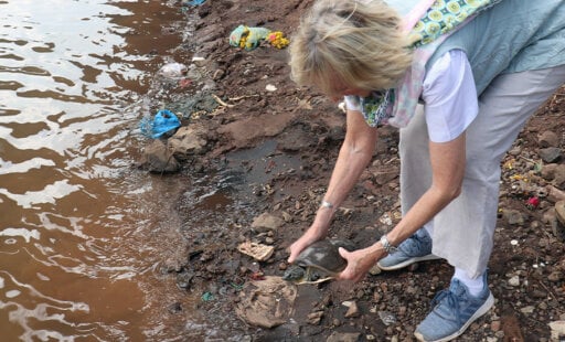 Turtle Trouble: This One Was Rescued From One <em>Shell</em> of a Jam